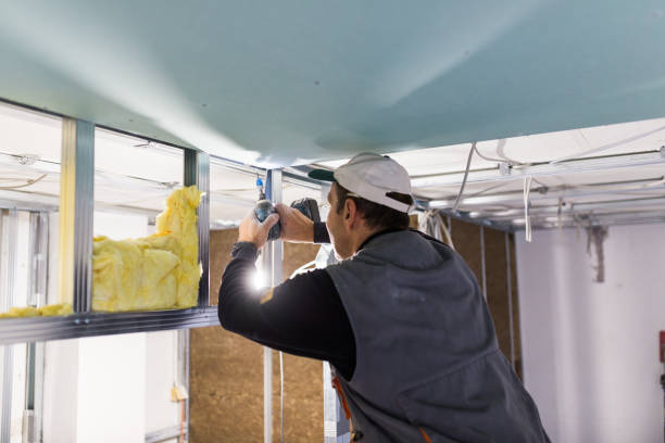 Best Insulation Installation Services in Festus, MO