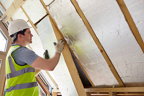 Best Residential Insulation in Festus, MO