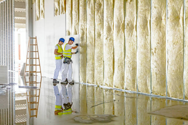 Best Insulation for Specific Applications in Festus, MO